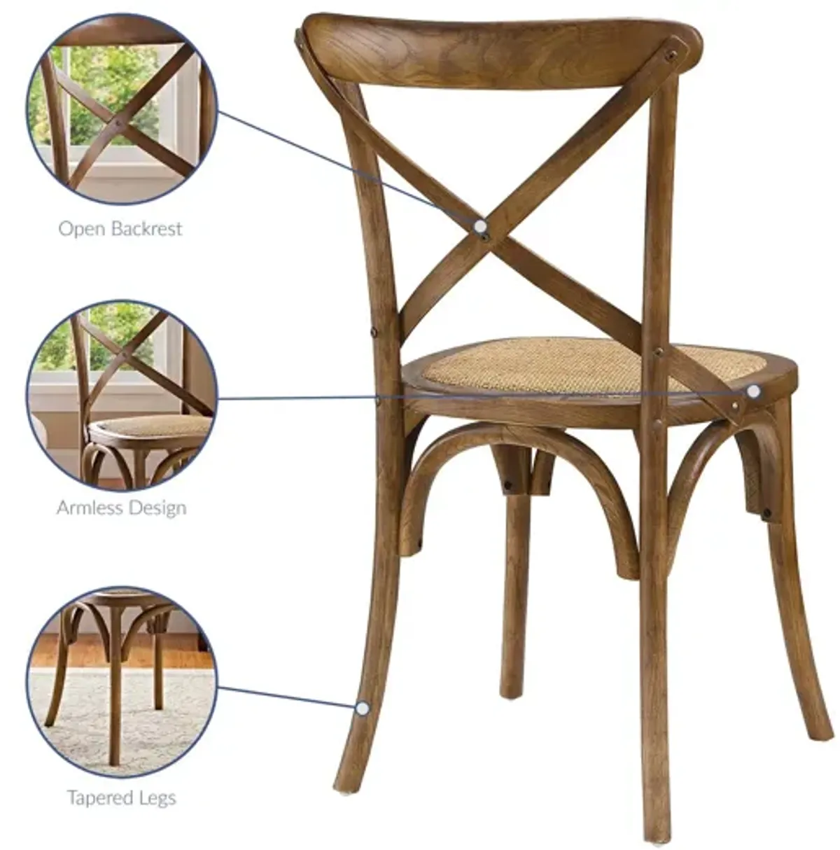 Gear Dining Side Chair in Walnut