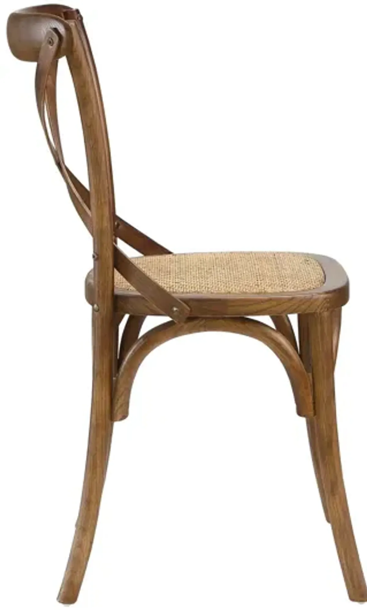 Gear Dining Side Chair in Walnut