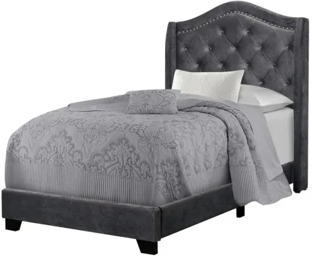 Dark Grey Velvet Upholstered Twin Bed with Nailhead