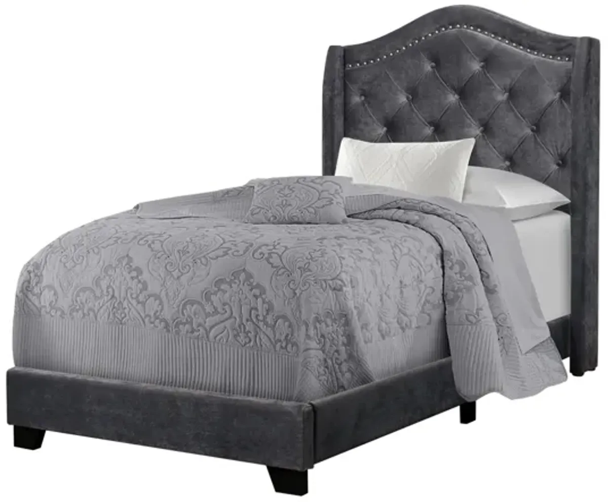 Dark Grey Velvet Upholstered Twin Bed with Nailhead