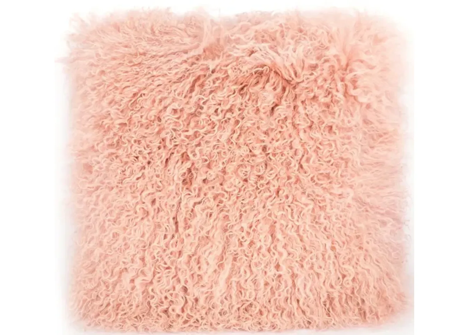 Tibetan Sheep Blush Pillow