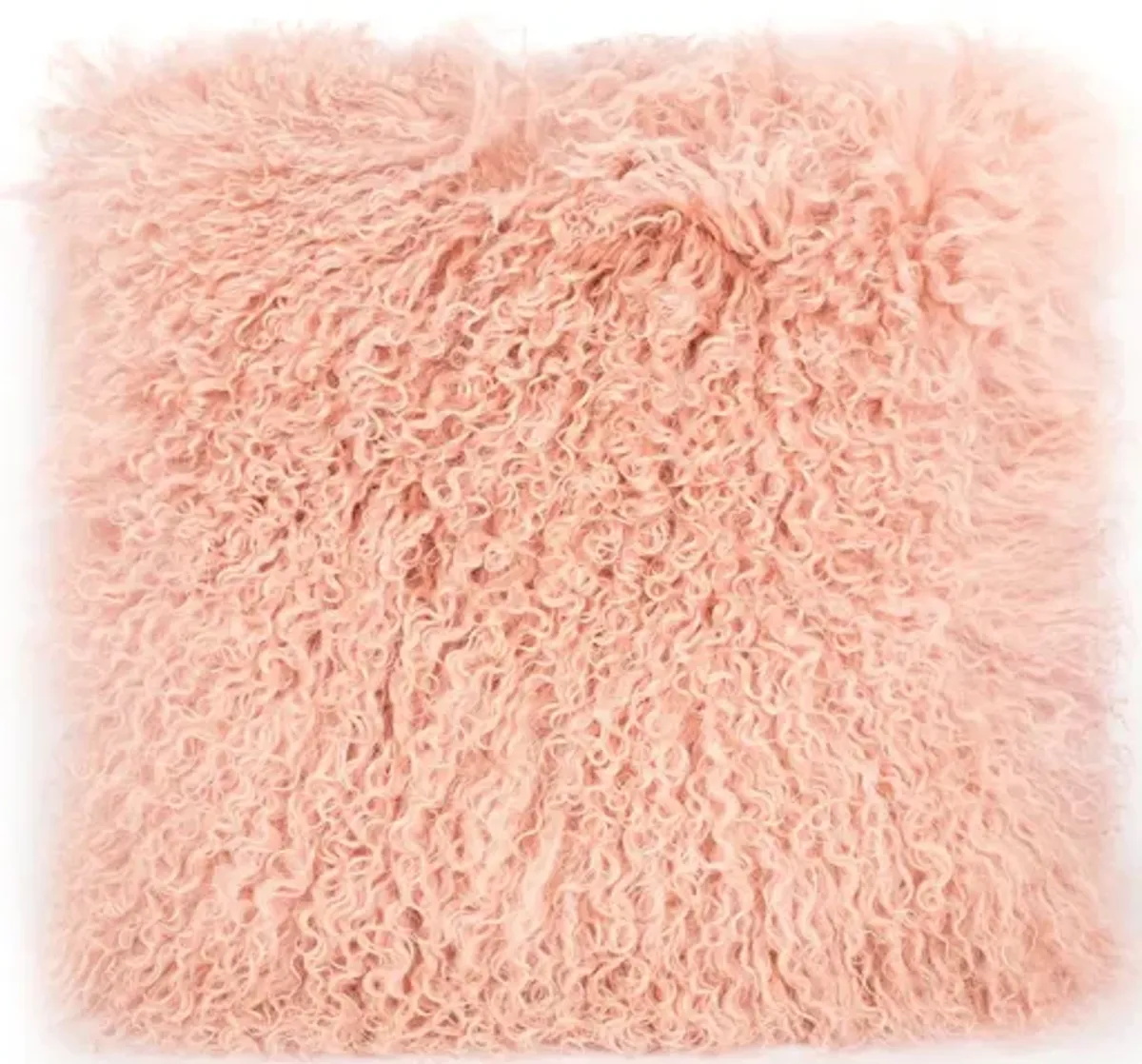 Tibetan Sheep Blush Pillow