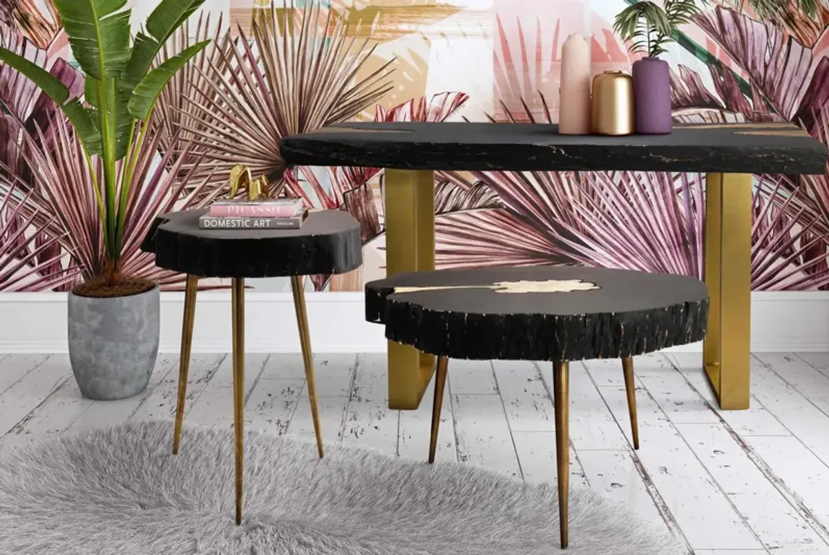 Timber Black and Brass Side Table