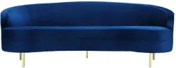 Navy color