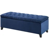 Shelly Tufted Top Storage Bench