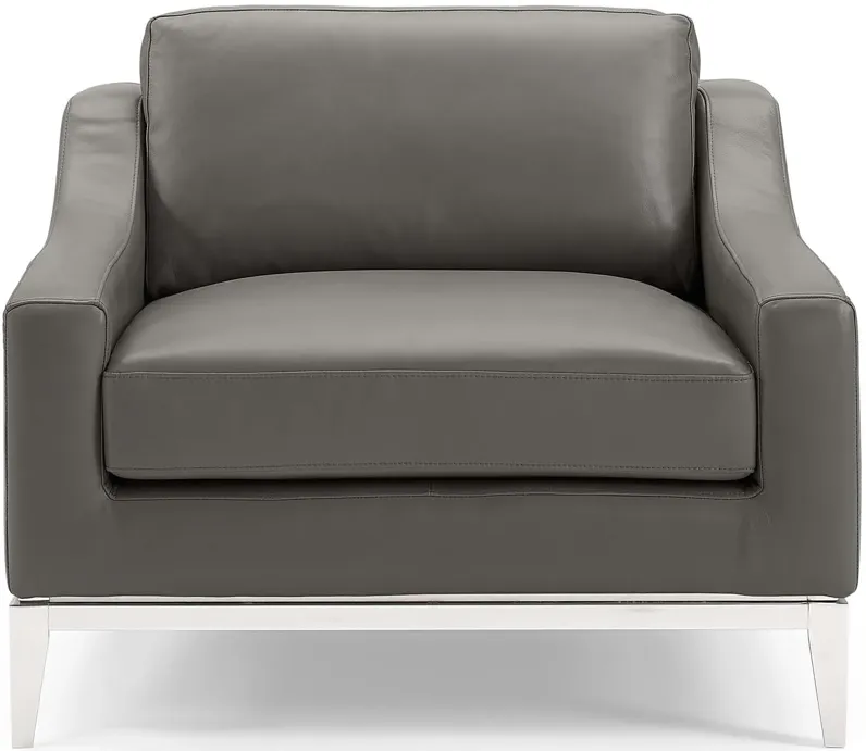 Harness Stainless Steel Base Leather Armchair in Gray