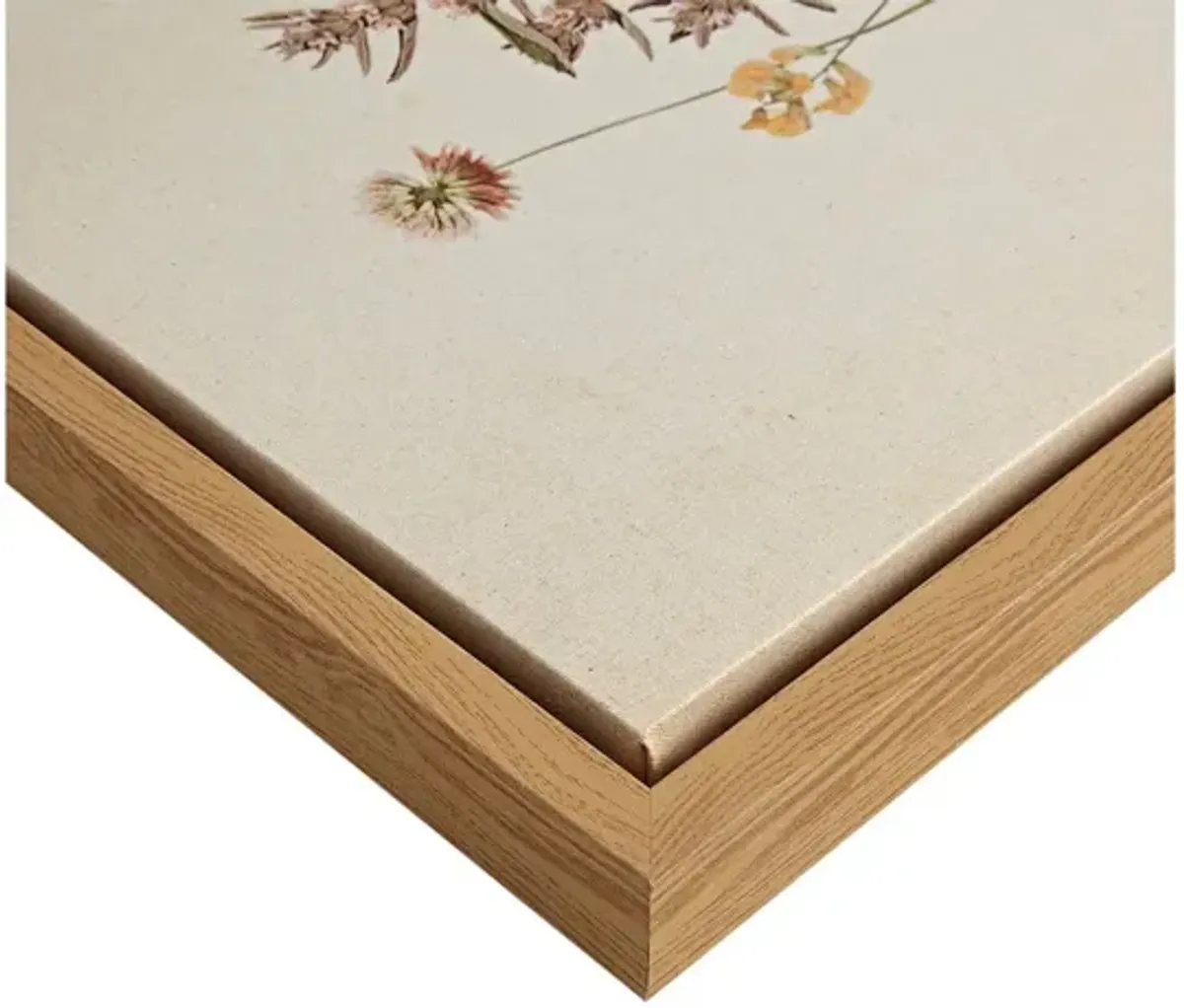 French Herbarium Framed Linen Canvas 2 Piece Set by Martha Stewart