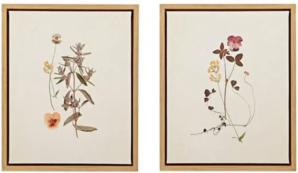 French Herbarium Framed Linen Canvas 2 Piece Set by Martha Stewart