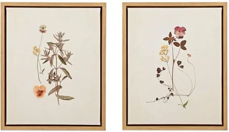 French Herbarium Framed Linen Canvas 2 Piece Set by Martha Stewart