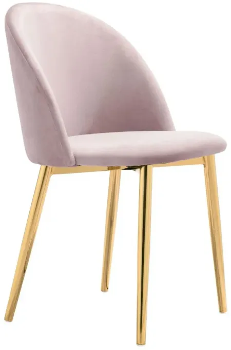 Cozy Dining Chair (Set of 2) Pink