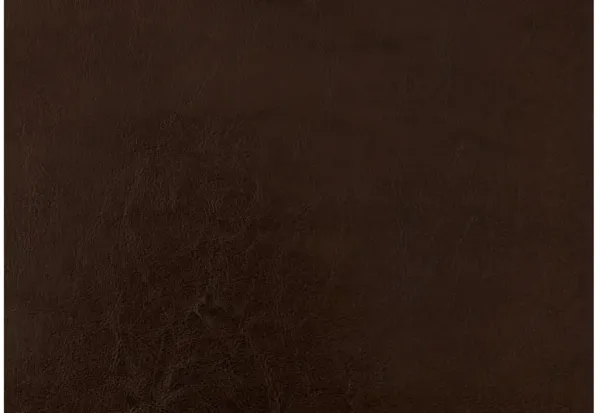 Dark Brown Leather-Look Twin Bed