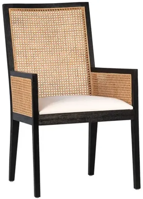 Norton Dining Chair