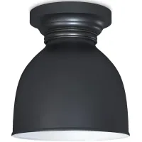 Pantry Oil Rubbed Bronze Flush Mount by Regina Andrew