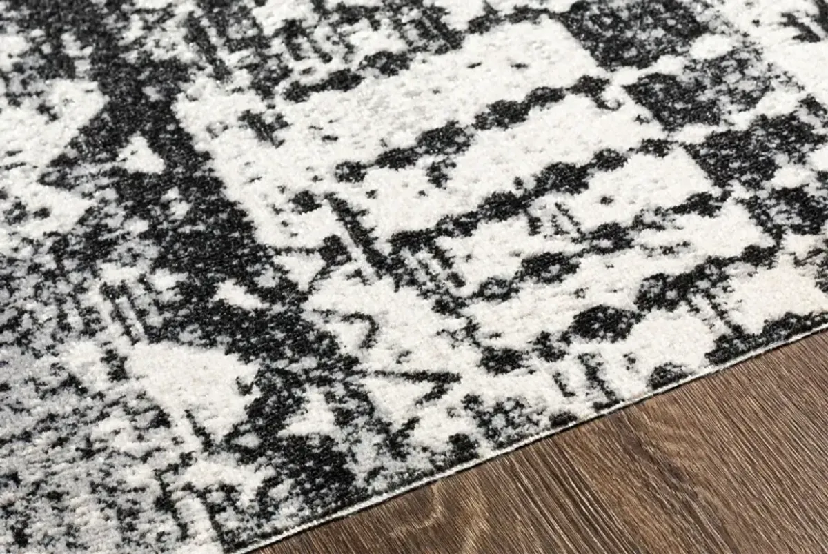 Lavadora 6x9 Area Rug