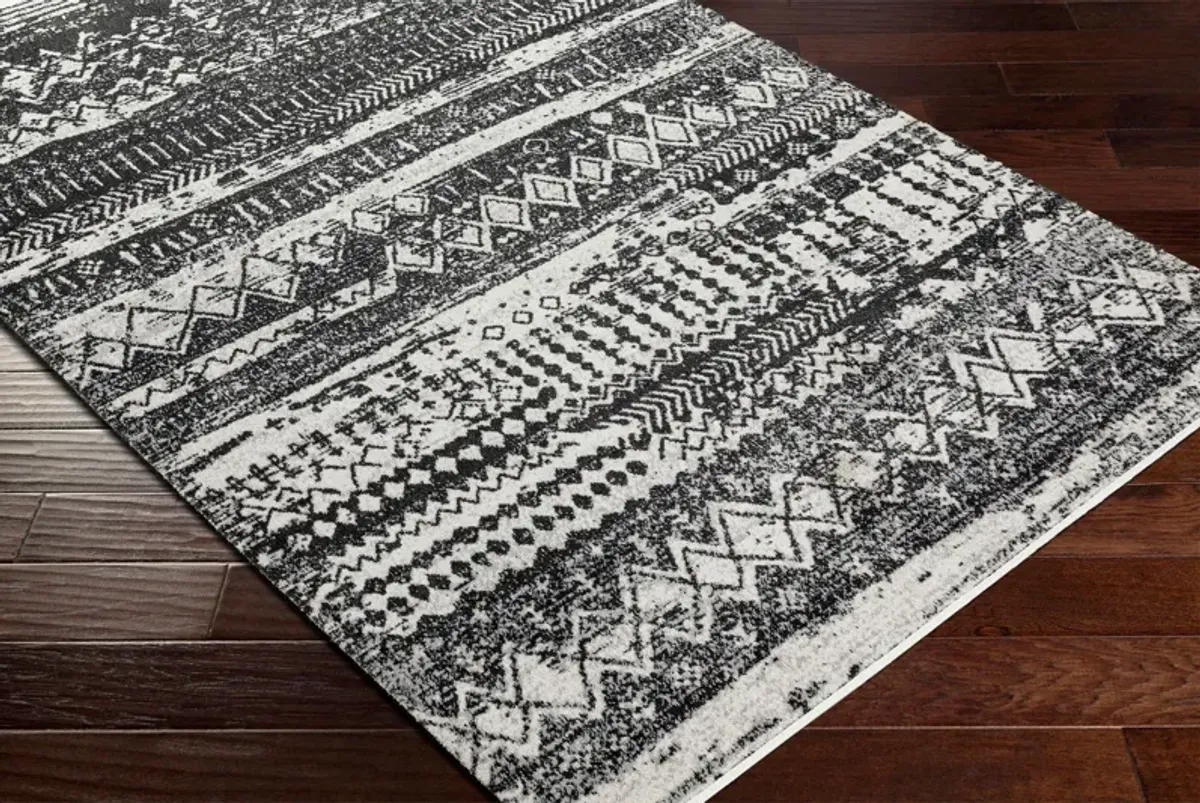 Lavadora 6x9 Area Rug