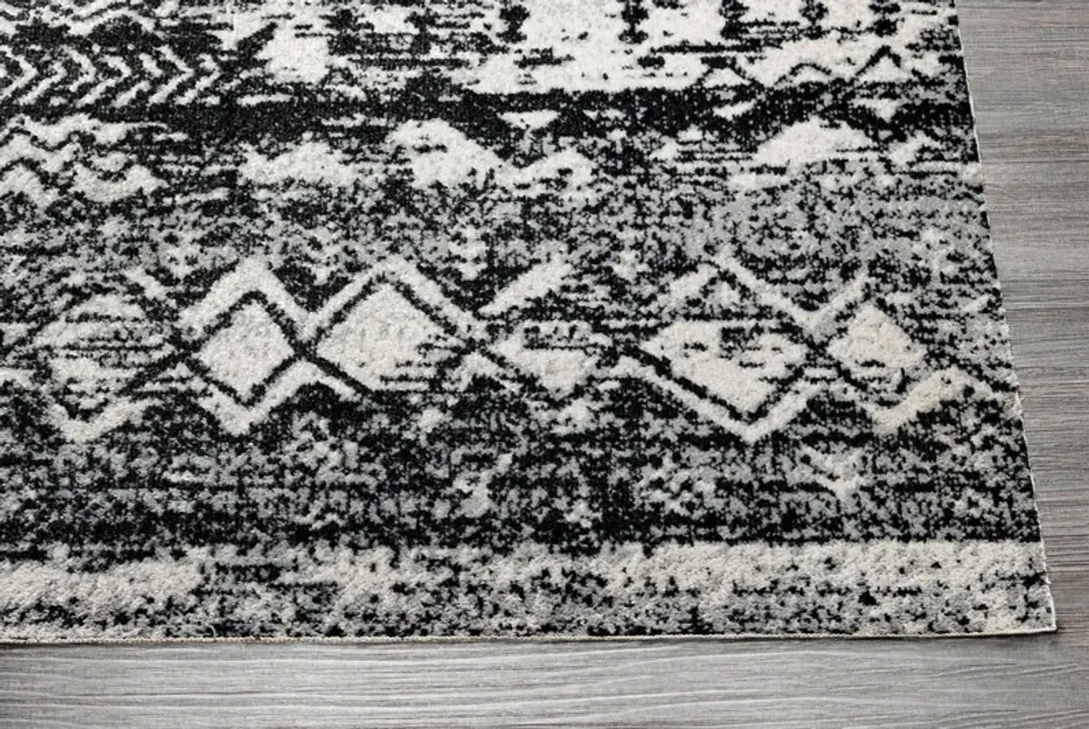 Lavadora 6x9 Area Rug