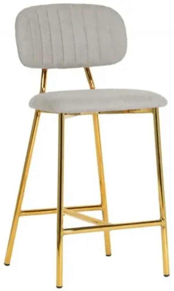 Ariana Grey Counter Stool (Set of 2)