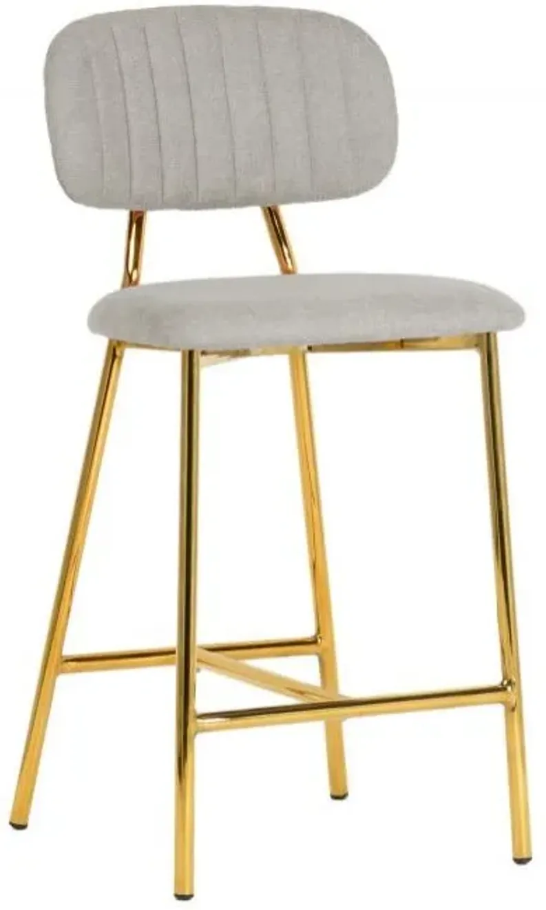 Ariana Grey Counter Stool (Set of 2)