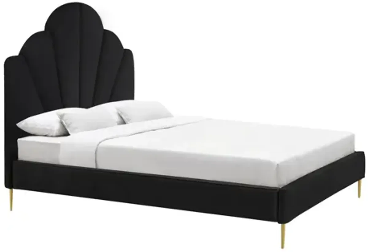 Bianca Black Velvet Bed in King