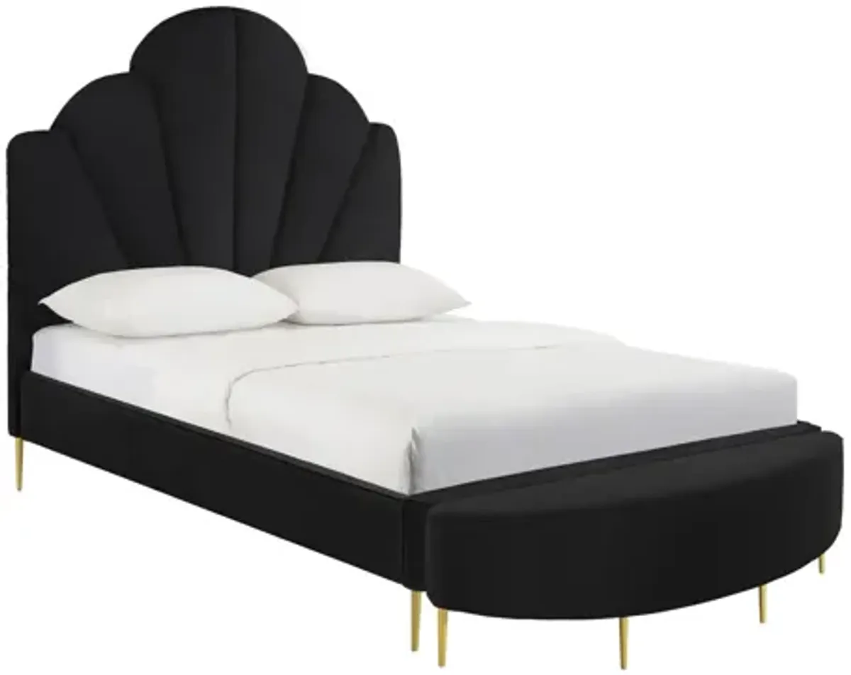 Bianca Black Velvet Bed in King