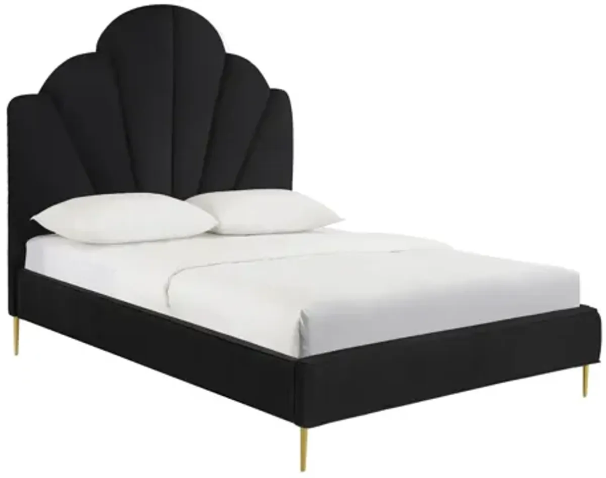 Bianca Black Velvet Bed in King