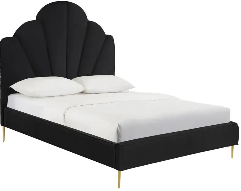 Bianca Black Velvet Bed in King
