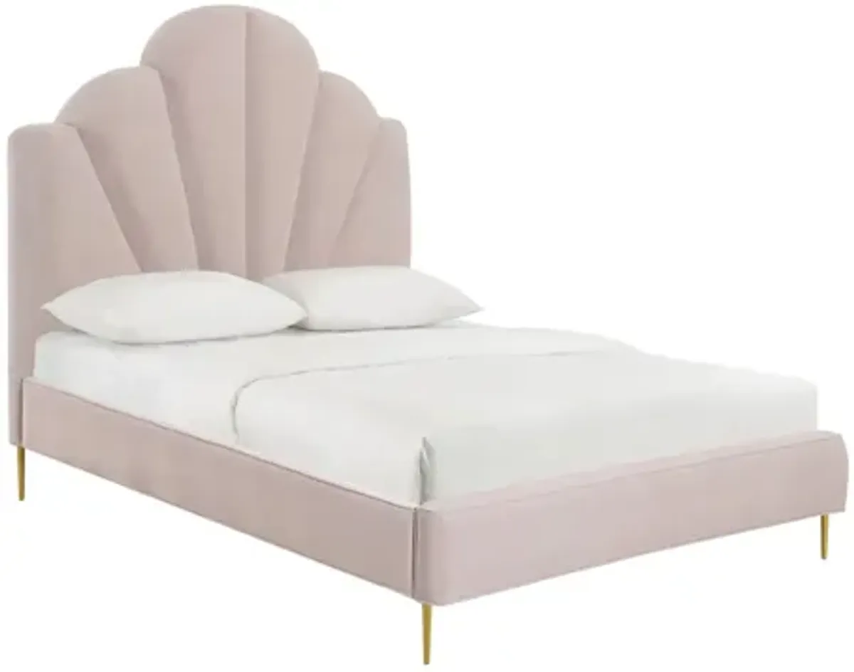 Bianca Blush Velvet Bed in Queen