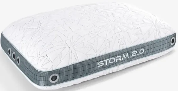 Bedgear® Storm Performance® 2.0 Queen Pillow