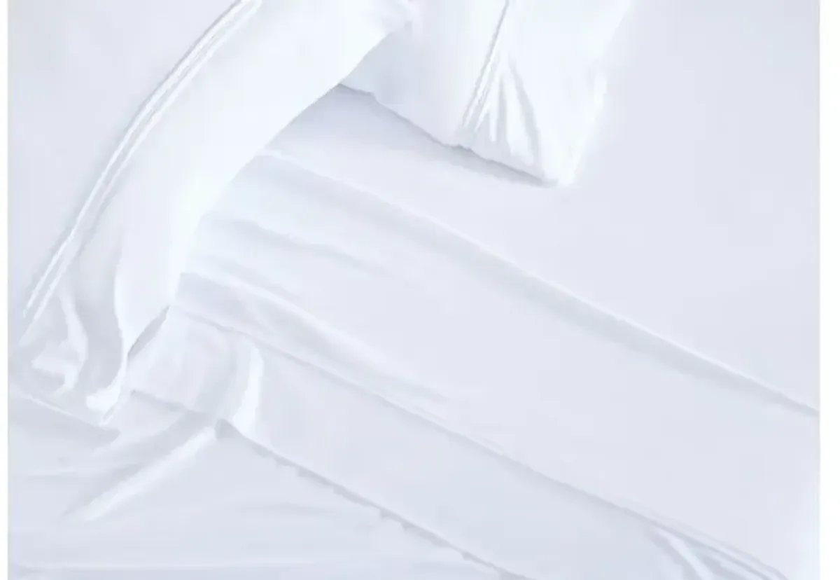 Dri-Tec Bright White Queen Pillowcase Set by Bedgear