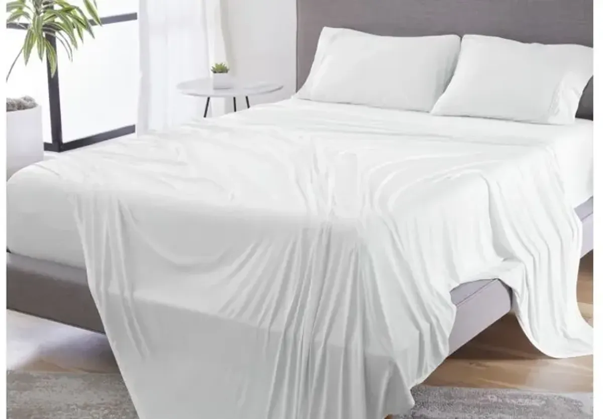 Dri-Tec Bright White Queen Pillowcase Set by Bedgear