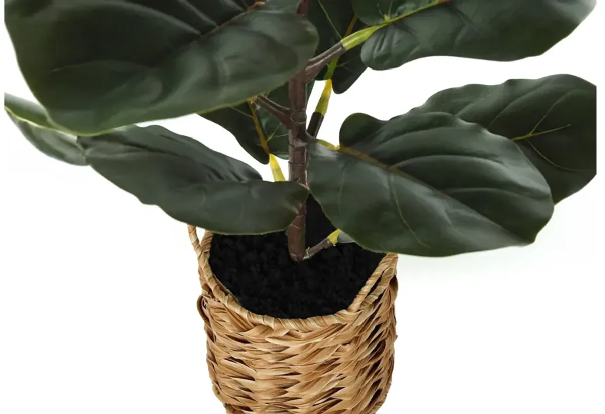 Faux 28" Fiddle Plant in Woven Basket