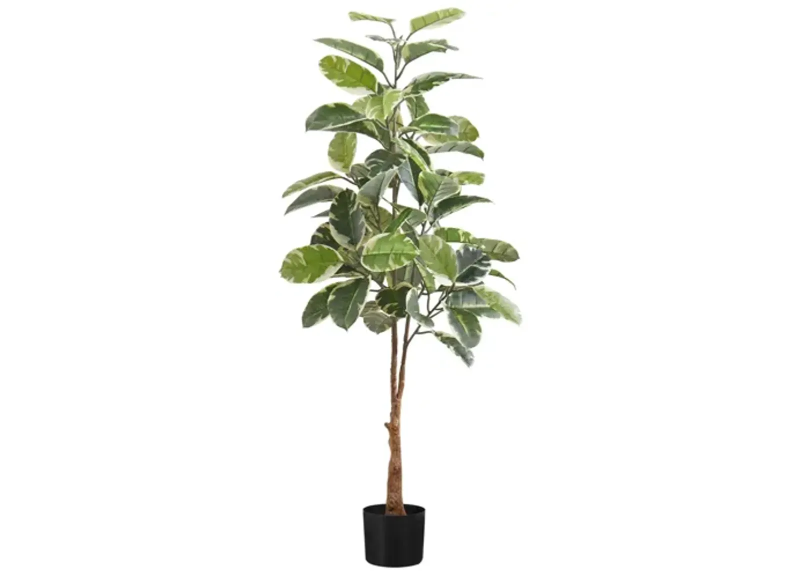 Faux 52" Rubber Tree in Pot