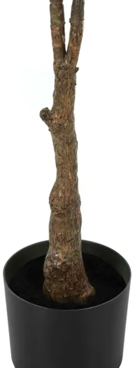Faux 52" Rubber Tree in Pot