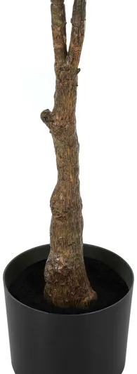 Faux 52" Rubber Tree in Pot