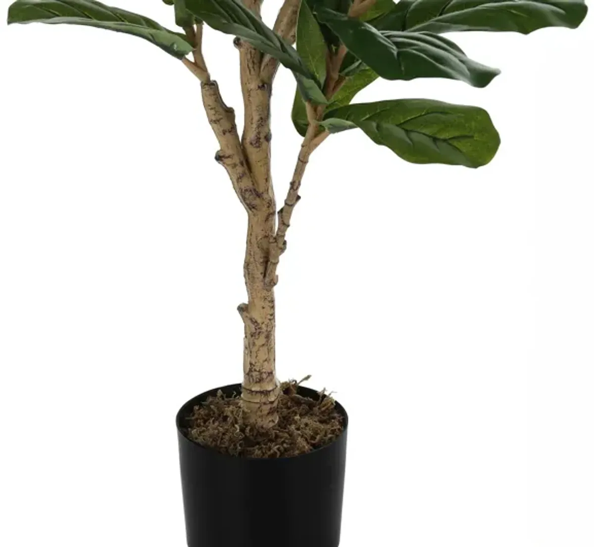 Faux 47" Fiddle Tree in Pot