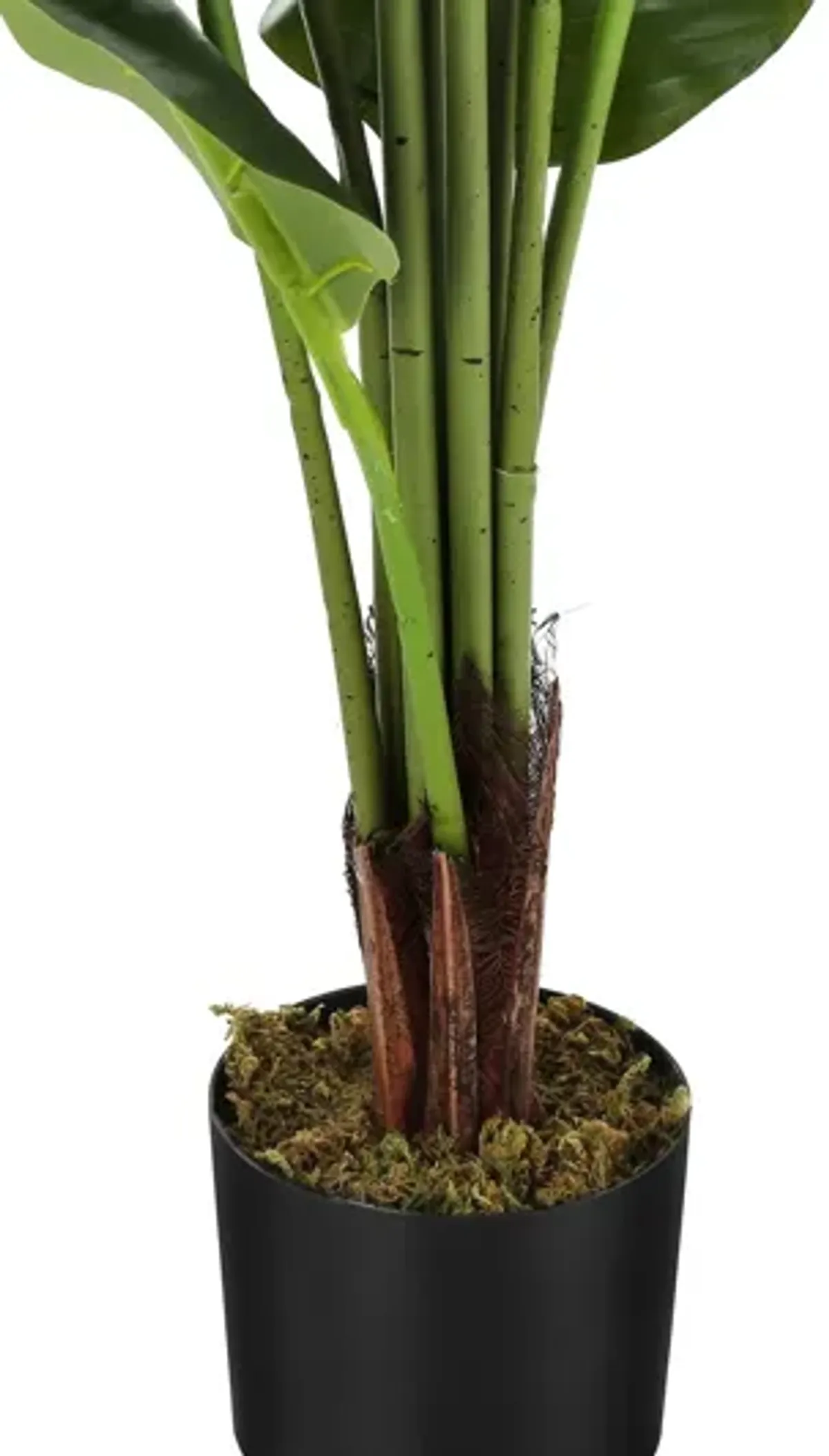 Faux 59" Strelitzia Plant in Pot