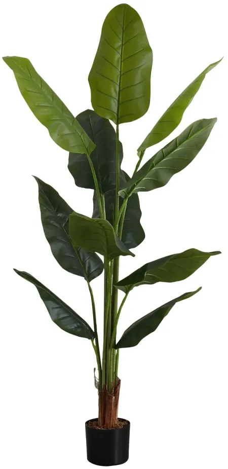 Faux 59" Strelitzia Plant in Pot