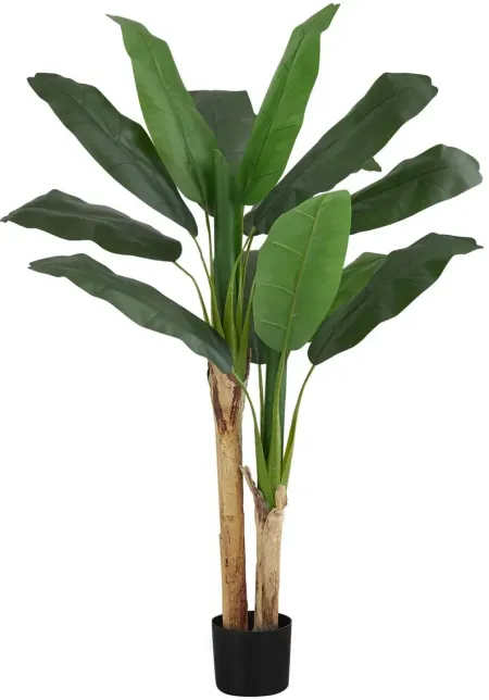 Faux 55" Banana Tree in Pot