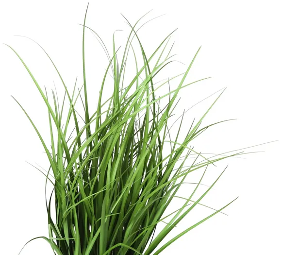 Faux 23" Grass in Pot