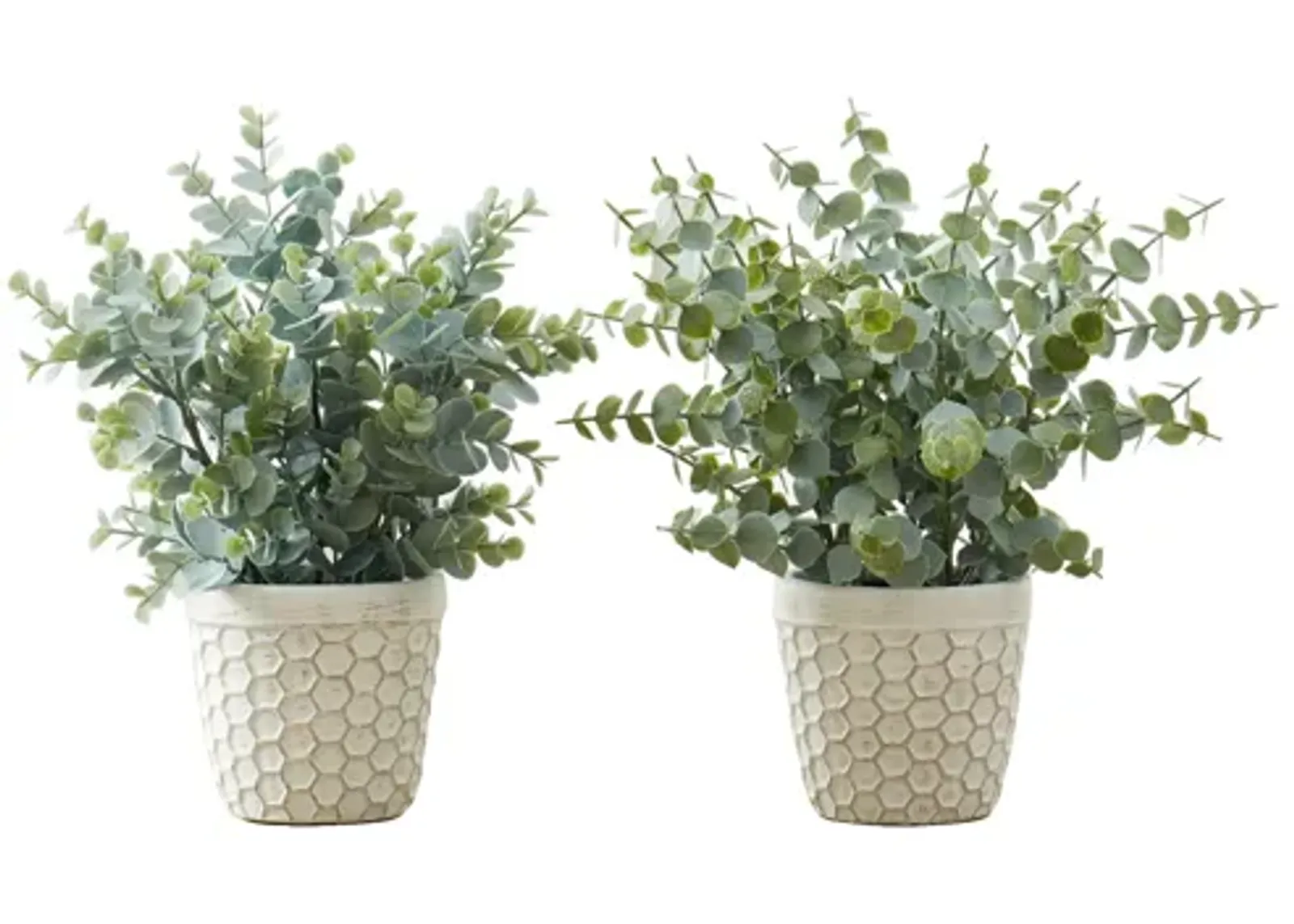 Set of 2 Faux Eucalyptus Plants in Pot