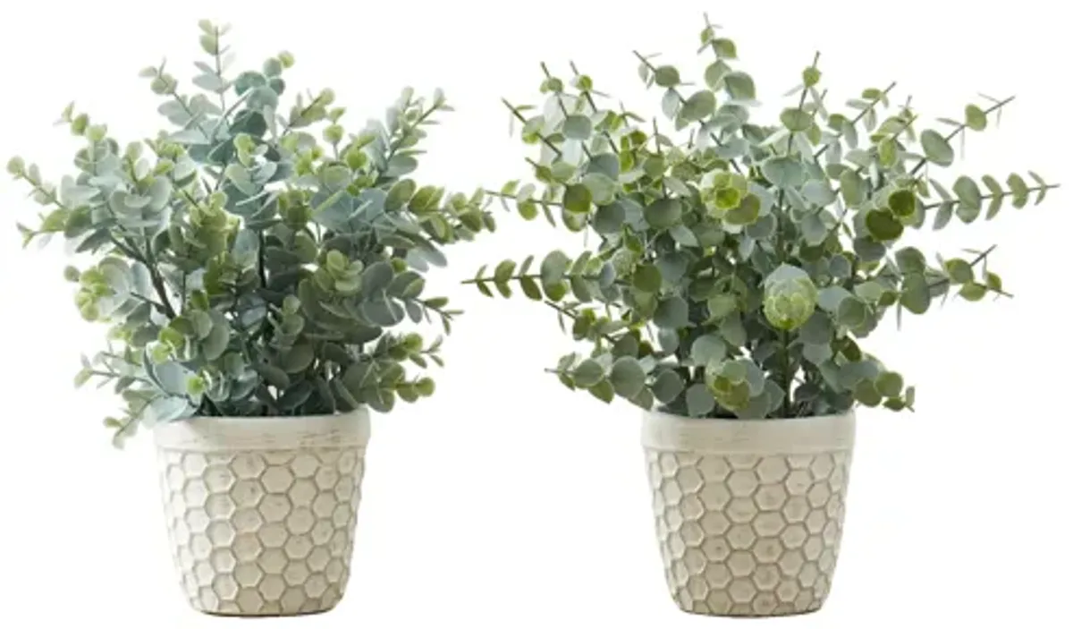 Set of 2 Faux Eucalyptus Plants in Pot