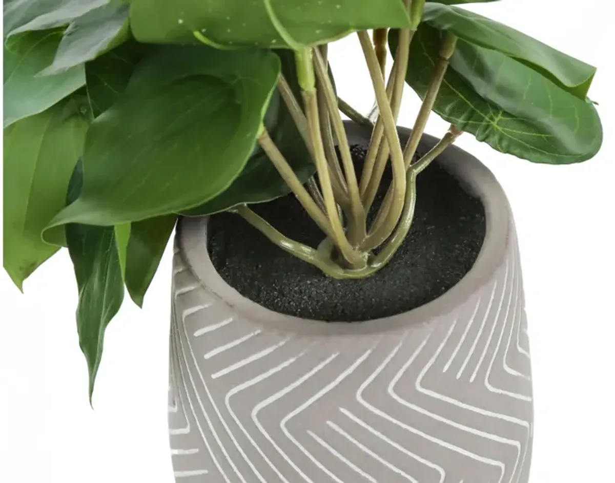 Set of 2 Faux Alocasia Plants in Cement Pots