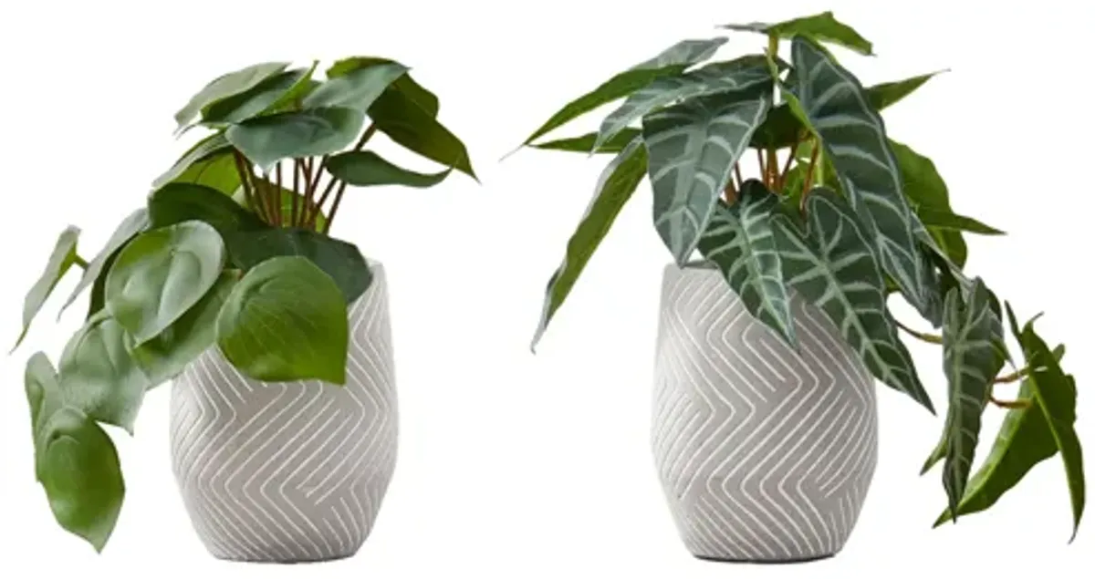 Set of 2 Faux Alocasia Plants in Cement Pots