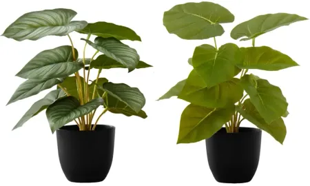 Set of 2 Faux Plants