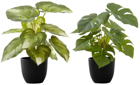 Set of 2 Faux Plants