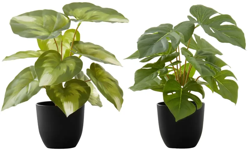 Set of 2 Faux Plants