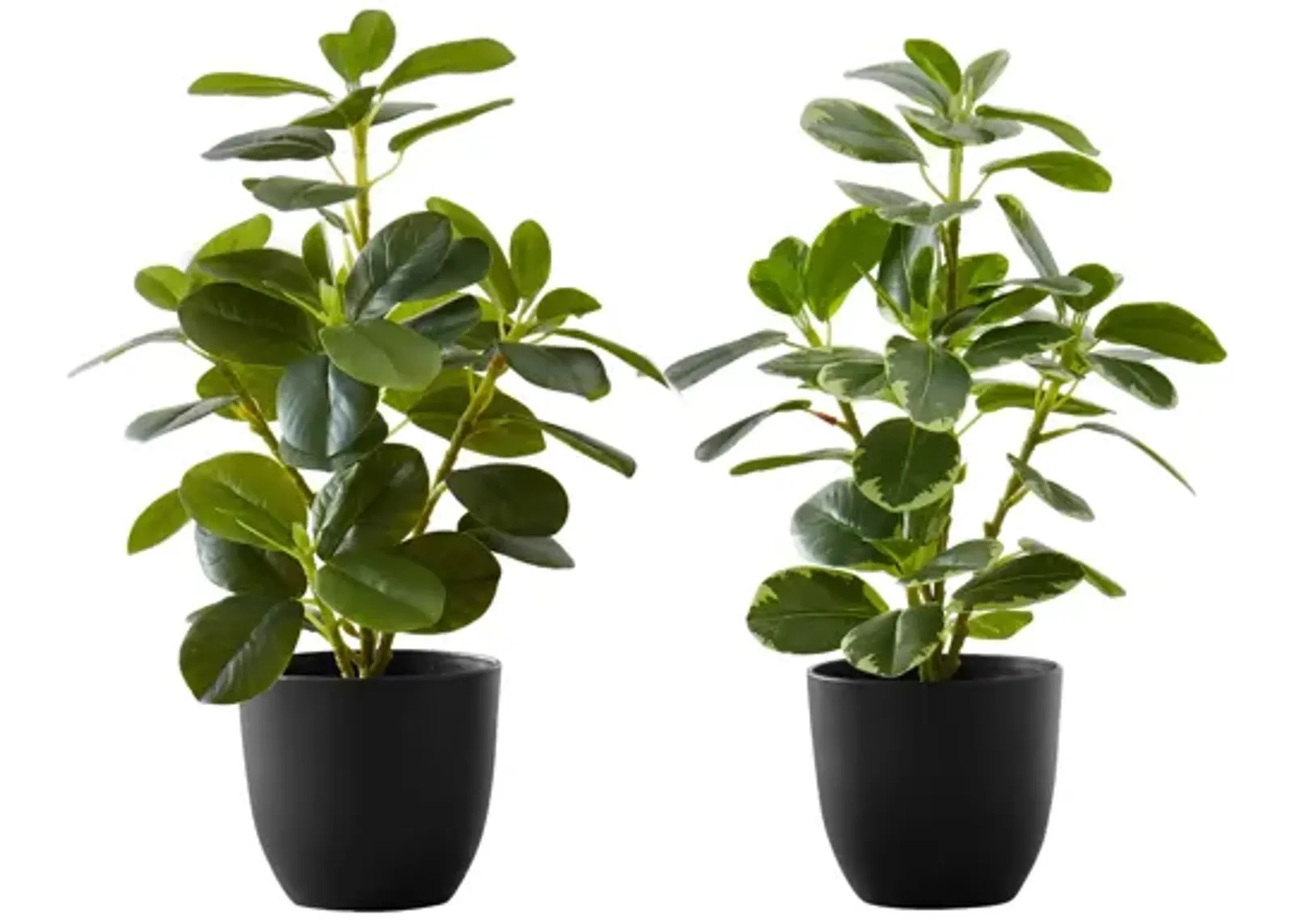 Set of 2 Faux Ficus Plants