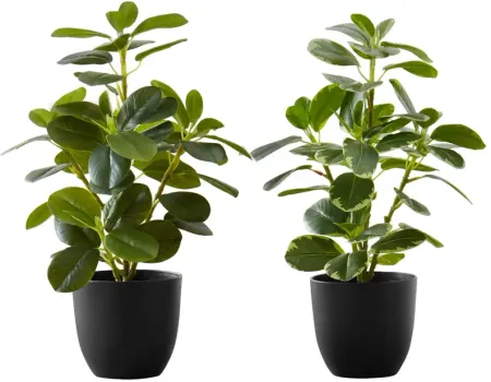 Set of 2 Faux Ficus Plants
