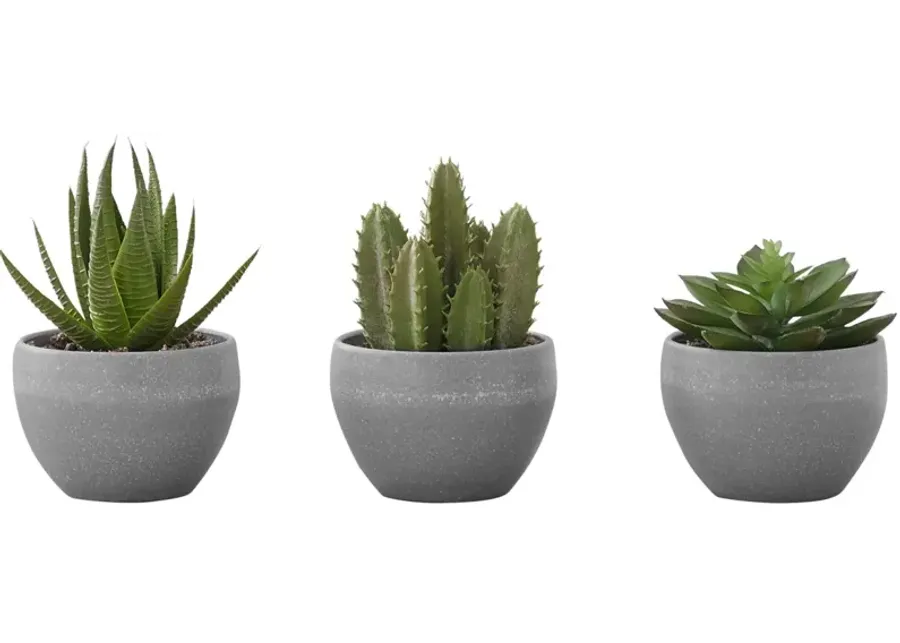 Set of 3 Faux Succulents in Pots