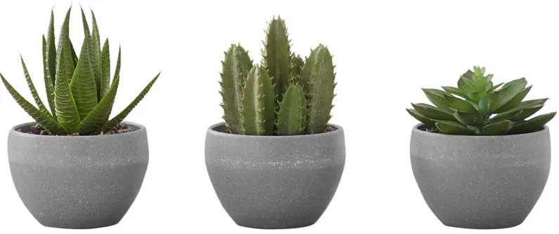 Set of 3 Faux Succulents in Pots